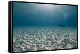 Solitary Scuba Diver in Shallow Sandy Bay, with Sun Beams, Naama Bay-Mark Doherty-Framed Stretched Canvas