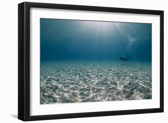 Solitary Scuba Diver in Shallow Sandy Bay, with Sun Beams, Naama Bay-Mark Doherty-Framed Photographic Print