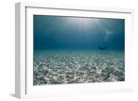 Solitary Scuba Diver in Shallow Sandy Bay, with Sun Beams, Naama Bay-Mark Doherty-Framed Photographic Print