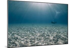 Solitary Scuba Diver in Shallow Sandy Bay, with Sun Beams, Naama Bay-Mark Doherty-Mounted Photographic Print