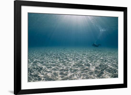 Solitary Scuba Diver in Shallow Sandy Bay, with Sun Beams, Naama Bay-Mark Doherty-Framed Photographic Print