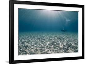 Solitary Scuba Diver in Shallow Sandy Bay, with Sun Beams, Naama Bay-Mark Doherty-Framed Photographic Print