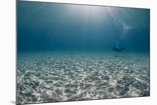 Solitary Scuba Diver in Shallow Sandy Bay, with Sun Beams, Naama Bay-Mark Doherty-Mounted Photographic Print