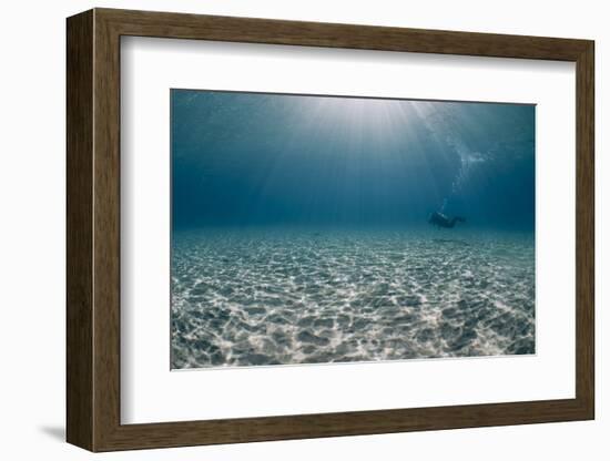 Solitary Scuba Diver in Shallow Sandy Bay, with Sun Beams, Naama Bay-Mark Doherty-Framed Photographic Print