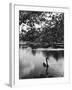 Solitary Swan-null-Framed Photographic Print