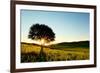 Solitary Tree in Golden Sunset with Copy Space.-Liang Zhang-Framed Photographic Print
