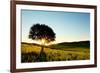 Solitary Tree in Golden Sunset with Copy Space.-Liang Zhang-Framed Photographic Print