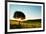 Solitary Tree in Golden Sunset with Copy Space.-Liang Zhang-Framed Photographic Print