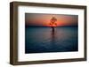 Solitary tree in the James River at sunset, Jamestown, Virginia-null-Framed Photographic Print