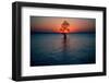 Solitary tree in the James River at sunset, Jamestown, Virginia-null-Framed Photographic Print