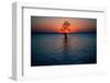 Solitary tree in the James River at sunset, Jamestown, Virginia-null-Framed Photographic Print