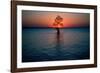 Solitary tree in the James River at sunset, Jamestown, Virginia-null-Framed Photographic Print