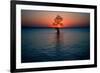 Solitary tree in the James River at sunset, Jamestown, Virginia-null-Framed Photographic Print