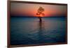 Solitary tree in the James River at sunset, Jamestown, Virginia-null-Framed Photographic Print