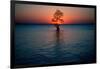 Solitary tree in the James River at sunset, Jamestown, Virginia-null-Framed Photographic Print