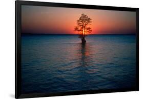 Solitary tree in the James River at sunset, Jamestown, Virginia-null-Framed Photographic Print
