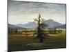 Solitary Tree (Village Landscape in Morning Light), 1822-Caspar David Friedrich-Mounted Giclee Print