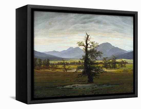 Solitary Tree (Village Landscape in Morning Light), 1822-Caspar David Friedrich-Framed Stretched Canvas