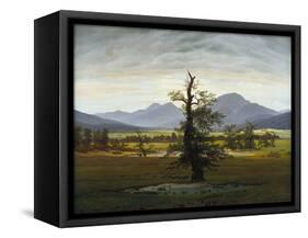 Solitary Tree (Village Landscape in Morning Light), 1822-Caspar David Friedrich-Framed Stretched Canvas