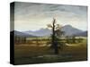 Solitary Tree (Village Landscape in Morning Light), 1822-Caspar David Friedrich-Stretched Canvas