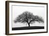 Solitary-Jay Wesler-Framed Giclee Print