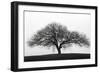 Solitary-Jay Wesler-Framed Giclee Print