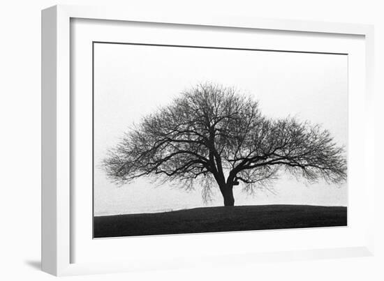 Solitary-Jay Wesler-Framed Giclee Print