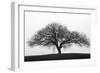 Solitary-Jay Wesler-Framed Giclee Print