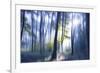 Solitude Bleue-Viviane Fedieu Daniel-Framed Photographic Print