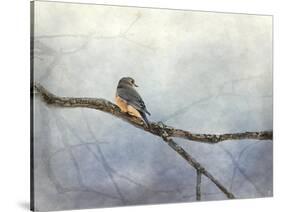 Solitude Bluebird-Jai Johnson-Stretched Canvas