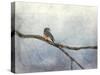 Solitude Bluebird-Jai Johnson-Stretched Canvas