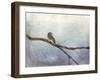 Solitude Bluebird-Jai Johnson-Framed Giclee Print