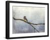 Solitude Bluebird-Jai Johnson-Framed Giclee Print