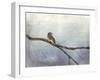 Solitude Bluebird-Jai Johnson-Framed Giclee Print