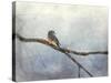 Solitude Bluebird-Jai Johnson-Stretched Canvas