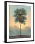 Solitude I-Darlou Gams-Framed Art Print