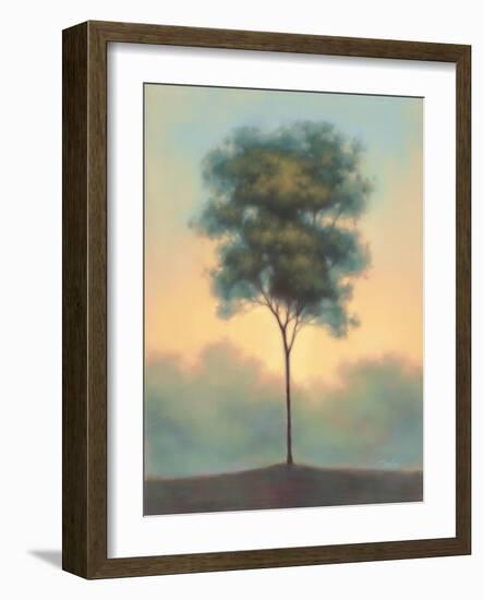 Solitude I-Darlou Gams-Framed Art Print