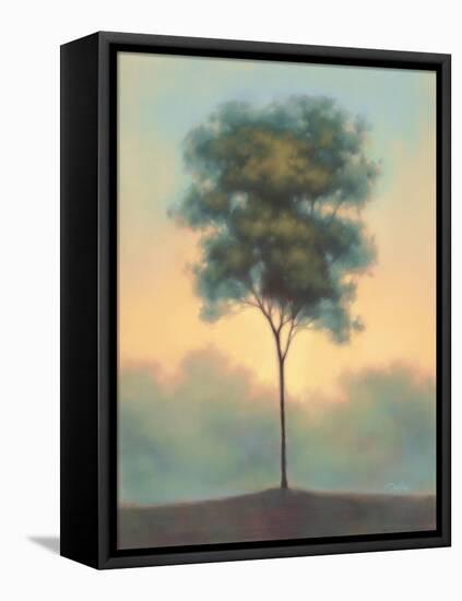 Solitude I-Darlou Gams-Framed Stretched Canvas