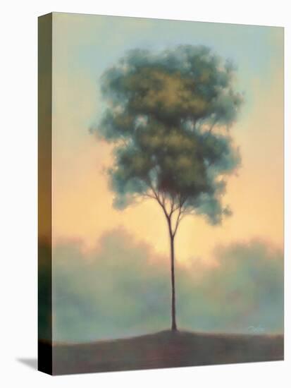 Solitude I-Darlou Gams-Stretched Canvas