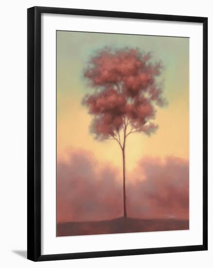 Solitude II-Darlou Gams-Framed Art Print