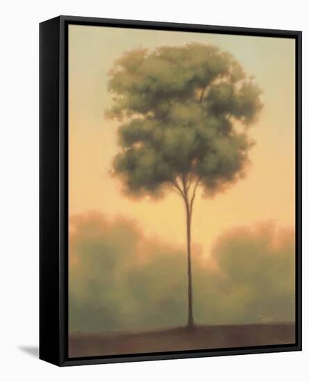 Solitude IV-Darlou Gams-Framed Stretched Canvas