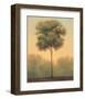 Solitude IV-Darlou Gams-Framed Art Print