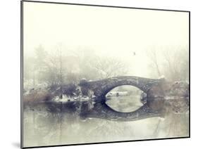 Solitude of Winter-Jessica Jenney-Mounted Giclee Print