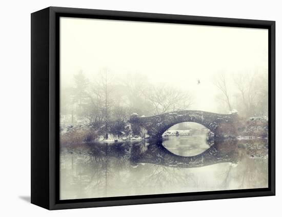 Solitude of Winter-Jessica Jenney-Framed Stretched Canvas