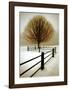 Solitude-David Winston-Framed Art Print