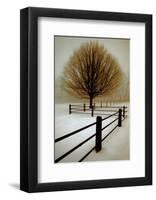 Solitude-David Winston-Framed Art Print