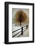 Solitude-David Winston-Framed Art Print