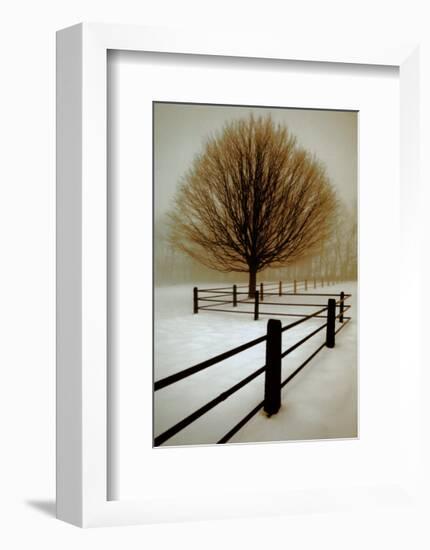 Solitude-David Winston-Framed Art Print