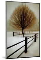 Solitude-David Winston-Mounted Art Print