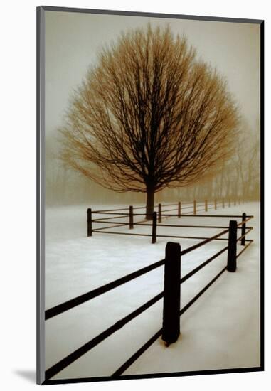 Solitude-David Winston-Mounted Art Print